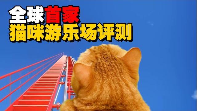 精神状态的主人带猫咪全新体验游乐场?!【喵来啦】 精神状态的主人带猫咪全新体验游乐场?!【喵来啦】