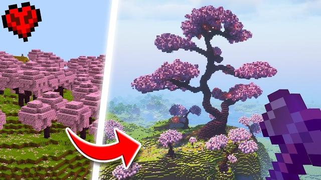I transformed every forest in minecraft hardcore! I transformed every forest in minecraft hardcore!