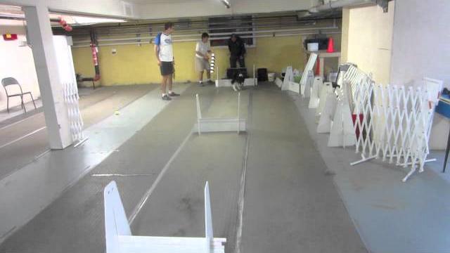 Zedd's box turns Zedd's box turns