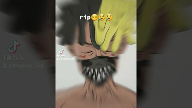 Rip Rip