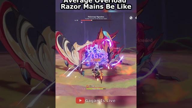 Average overload #razor mains be like ️+ #viral #genshinimpact #trendingshorts #hoyoverse Average overload #razor mains be like ️+ #viral #genshinimpact #trendingshorts #hoyoverse