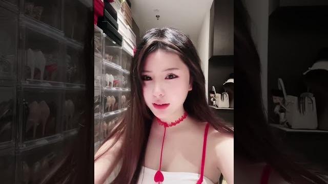 奔跑晶骡子 奔跑晶骡子