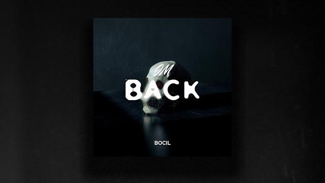 I'm back - vincill I'm back - vincill