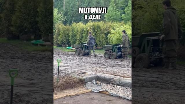 Мототележка мотомул , перевозит 500кг за раз , в наличии минск #минидумпер #стройтехника #погрузчик Мототележка мотомул , перевозит 500кг за раз , в наличии минск #минидумпер #стройтехника #погрузчик