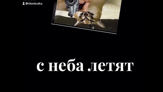 Фу какашки с неба летят Фу какашки с неба летят