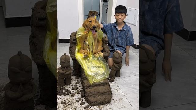 I made a throne for my beloved dog #shortsfeed I made a throne for my beloved dog #shortsfeed