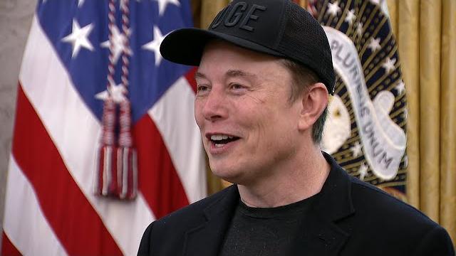 Musk was on drugs during trump's campaign: report Musk was on drugs during trump's campaign: report