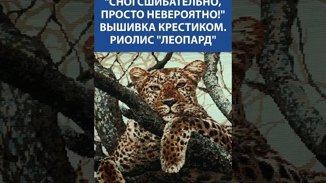 "леопард" от риолис вышивка, от которой захватывает дух! каждый крестик — как мазок художника "леопард" от риолис вышивка, от которой захватывает дух! каждый крестик — как мазок художника