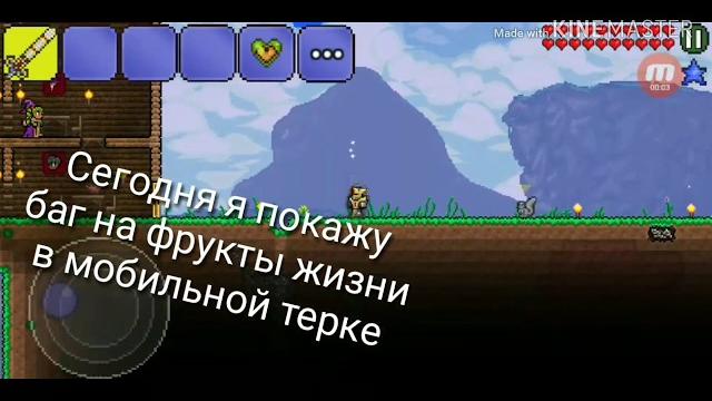 Террария. баг на фрукты жизни Террария. баг на фрукты жизни
