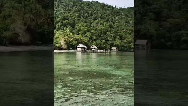The beauty of the natural scenery of raja ampat sorong papua #indonesia #shortvideo #nature #shorts The beauty of the natural scenery of raja ampat sorong papua #indonesia #shortvideo #nature #shorts