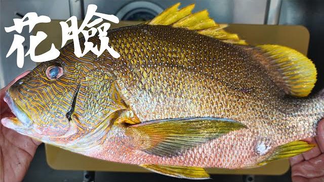 【此生必吃】海雞母笛鯛 太多人想蹭了 正式名稱是別種魚的俗名。 【此生必吃】海雞母笛鯛 太多人想蹭了 正式名稱是別種魚的俗名。