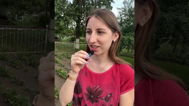 Добрая бабушка Добрая бабушка