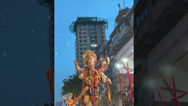 Mumbaicha raja and famous ganpati visarjan#ganpati #shortsvideo #ganpatibappamorya #ganeshchaturthi Mumbaicha raja and famous ganpati visarjan#ganpati #shortsvideo #ganpatibappamorya #ganeshchaturthi