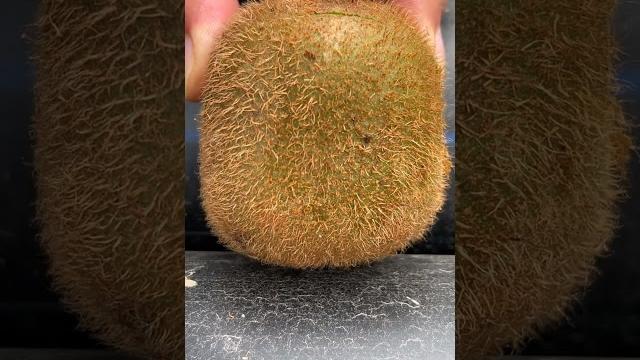 Kiwi oddly satisfying fresh fruit cutting in my farm | how to cut fruit in my farm #shorts Kiwi oddly satisfying fresh fruit cutting in my farm | how to cut fruit in my farm #shorts