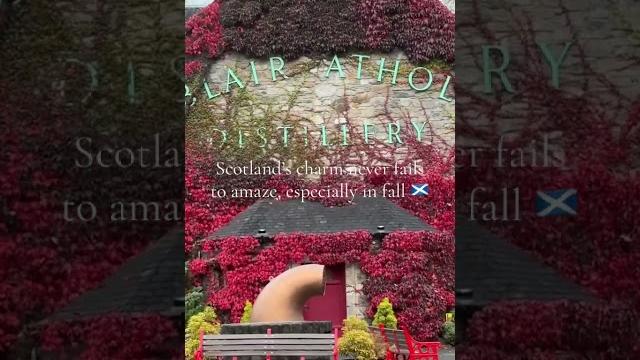 Blair athol distillery: #whisky, red ivy, and autumn charm in #scotland | mysterious scotland Blair athol distillery: #whisky, red ivy, and autumn charm in #scotland | mysterious scotland