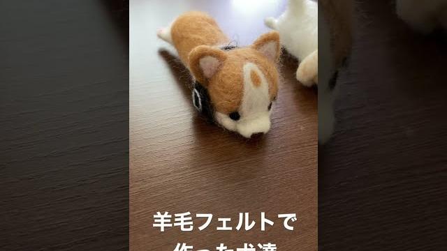 羊毛フェルトで作った犬達 羊毛フェルトで作った犬達
