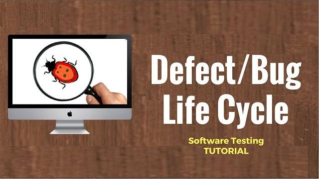 Defect/bug life cycle: software testing tutorial 23 Defect/bug life cycle: software testing tutorial 23