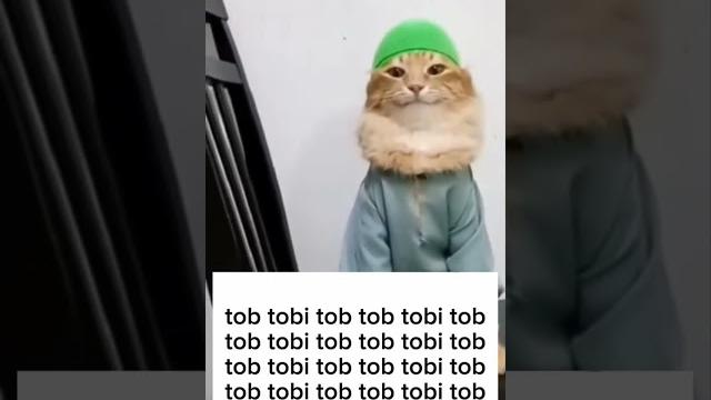 Tob tobi tob tob#fypシ゚#memes#ranked #funny#cat#reels#fyp#foryou#reel#shortsfeed#short#shorts#fy Tob tobi tob tob#fypシ゚#memes#ranked #funny#cat#reels#fyp#foryou#reel#shortsfeed#short#shorts#fy