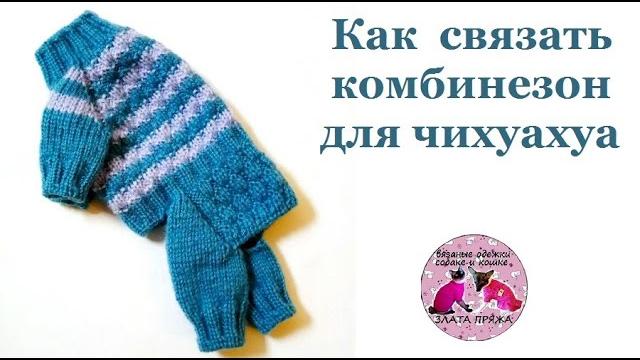 Как связать комбинезон для чихуахуа спицами мк Как связать комбинезон для чихуахуа спицами мк