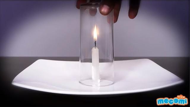 Glass and candle experiment - science projects for kids | educational videos by mocomi Glass and candle experiment - science projects for kids | educational videos by mocomi