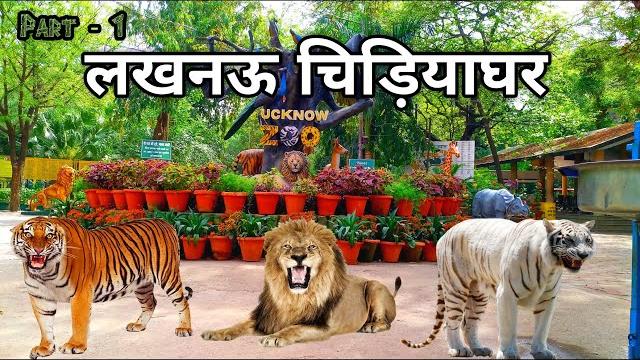 Lucknow zoo | लखनऊ चिड़ियाघर | nawab wajid ali shah zoological garden | lucknow utter pradesh Lucknow zoo | लखनऊ चिड़ियाघर | nawab wajid ali shah zoological garden | lucknow utter pradesh