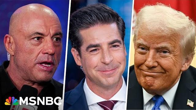 Cracking the maga 'manosphere': meidastouch bros on joe rogan, jesse watters and donald trump Cracking the maga 'manosphere': meidastouch bros on joe rogan, jesse watters and donald trump