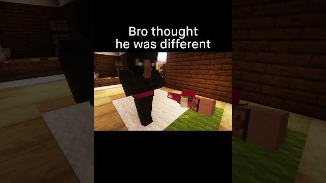 Minecraft meme Minecraft meme