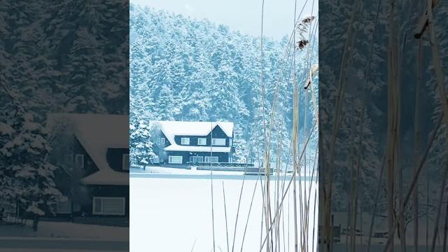 A house covered by snow catching the lots of dreams #snowfall #dreamhome #ashiqui2 #ashiqui A house covered by snow catching the lots of dreams #snowfall #dreamhome #ashiqui2 #ashiqui
