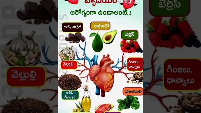 We care for you and your family health @vkgrocery .vk grocery store's wholesalers and retailers We care for you and your family health @vkgrocery .vk grocery store's wholesalers and retailers