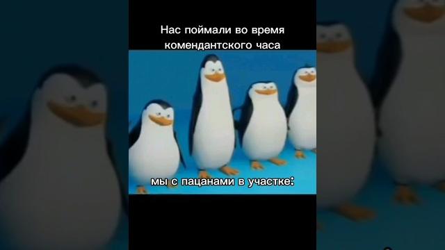 Пингвины мем#мадагаскар#рек#мем#пингвины#прикол Пингвины мем#мадагаскар#рек#мем#пингвины#прикол