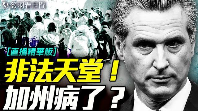 為何加州是非法移民的最愛?|薇羽看世間【直播精華版】 20250611 為何加州是非法移民的最愛?|薇羽看世間【直播精華版】 20250611