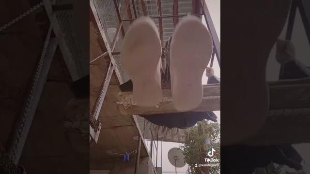 Xemi treki Xemi treki
