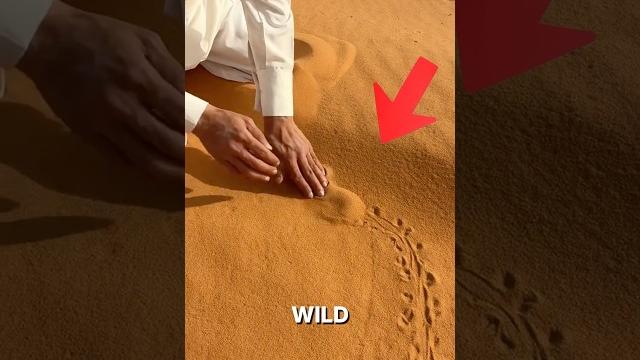 Guy finds fish in desert sand! Guy finds fish in desert sand!