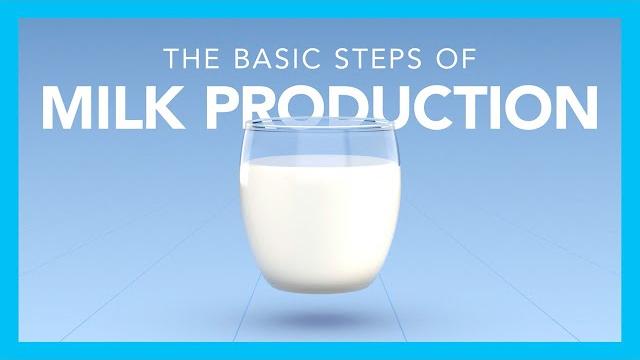 The basic steps of milk production The basic steps of milk production