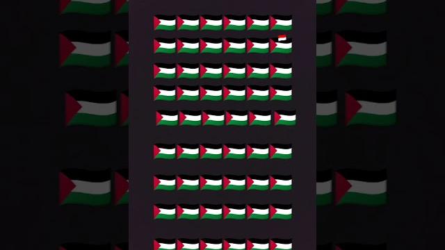 13 februari 2025 13 februari 2025