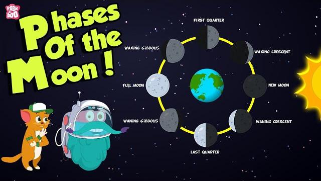 Phases of the moon | why does the moon change its shape? | space | dr binocs show | peekaboo kidz Phases of the moon | why does the moon change its shape? | space | dr binocs show | peekaboo kidz