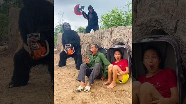 2 ferocious gorilla monsters attack brave girl and poor scared old man hiding under suitcase 2 ferocious gorilla monsters attack brave girl and poor scared old man hiding under suitcase