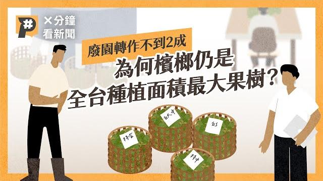 嚼食人口減少、產值下降 為何檳榔仍是全台種植面積最大果樹?|公視p# 新聞實驗室 嚼食人口減少、產值下降 為何檳榔仍是全台種植面積最大果樹?|公視p# 新聞實驗室