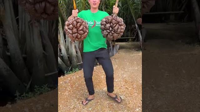 The most unique fruit in the world - here's how you eat it! #shorts The most unique fruit in the world - here's how you eat it! #shorts