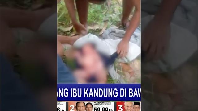 Viral! bayi dibuang ibu kandung di bawah pohon Viral! bayi dibuang ibu kandung di bawah pohon