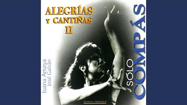 Escobillas, tempo 250 Escobillas, tempo 250