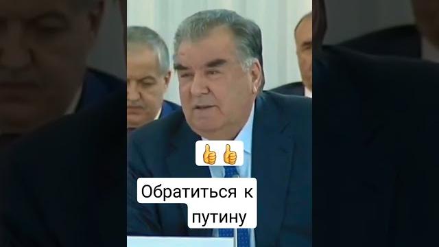 Обратиться к путину Обратиться к путину