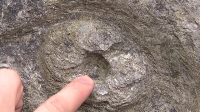 Types of weathering Types of weathering