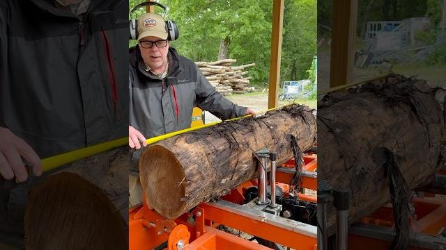 Make big money from tiny logs? Make big money from tiny logs?