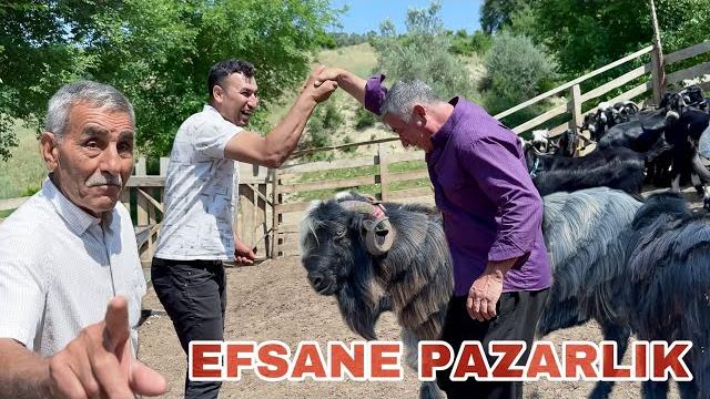 Efsane kurbanlik pazarliği 2025 Efsane kurbanlik pazarliği 2025