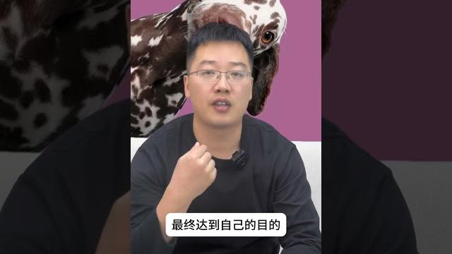 狗狗舔主人的手和脚,是在告诉你这几件事情 狗狗 新手养狗 养狗人 养狗经验分享 萌宠好物 狗狗舔主人的手和脚,是在告诉你这几件事情 狗狗 新手养狗 养狗人 养狗经验分享 萌宠好物