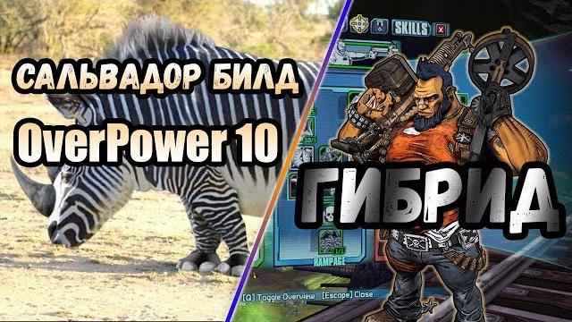 Borderlands 2 | сальвадор. билд на 80+op10 | гибрид Borderlands 2 | сальвадор. билд на 80+op10 | гибрид