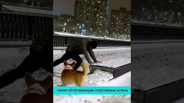 Штаны или тайтсы для бега зимой! что надеть на ноги во время зимних пробежек, чтобы не замёрзнуть? Штаны или тайтсы для бега зимой! что надеть на ноги во время зимних пробежек, чтобы не замёрзнуть?