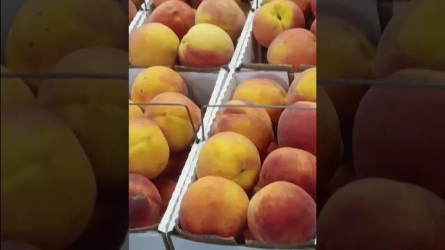 Lane's southern orchards | lunchtime in georgia! Lane's southern orchards | lunchtime in georgia!