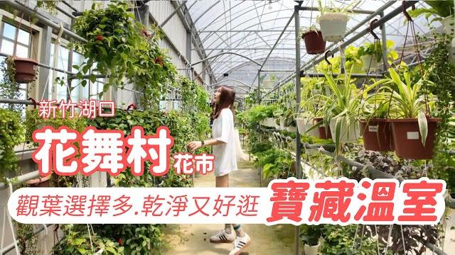 新竹湖口-花舞村花市-觀葉選擇多.環境乾淨.資材盆器超級多!!! 新竹湖口-花舞村花市-觀葉選擇多.環境乾淨.資材盆器超級多!!!